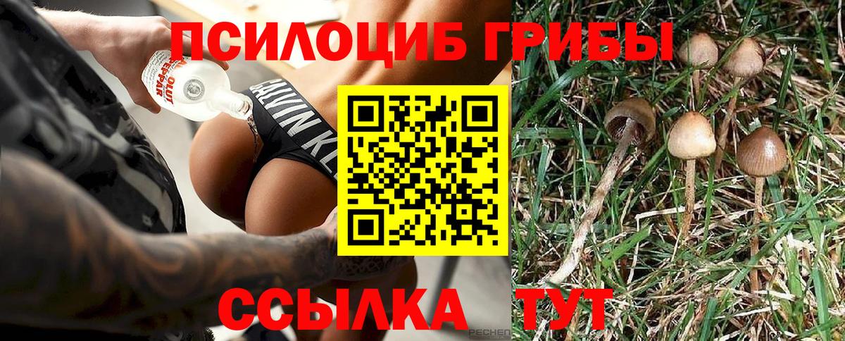 Белебей  Галлюциногенные грибы MAGIC MUSHROOMS  Вход с VPN 